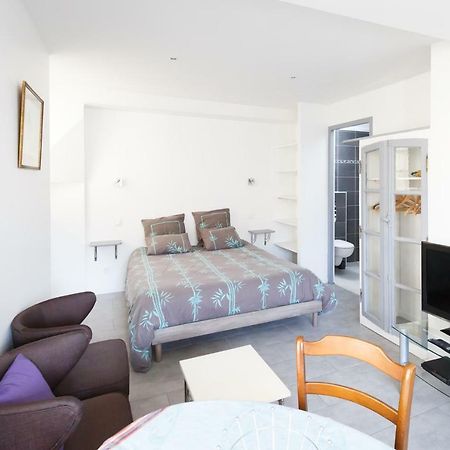 Studio Le Nid Du Saleys Apartman Salies-de-Béarn Kültér fotó